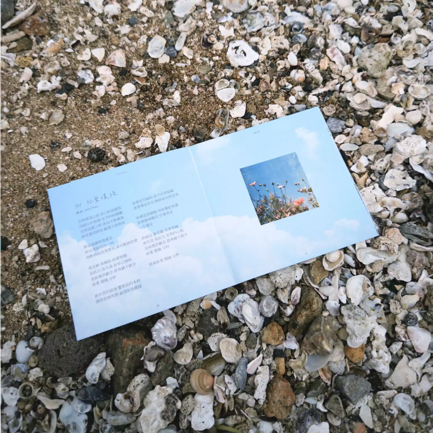 ACM靈修專輯2:《祢愛環繞》專輯 - Image 5